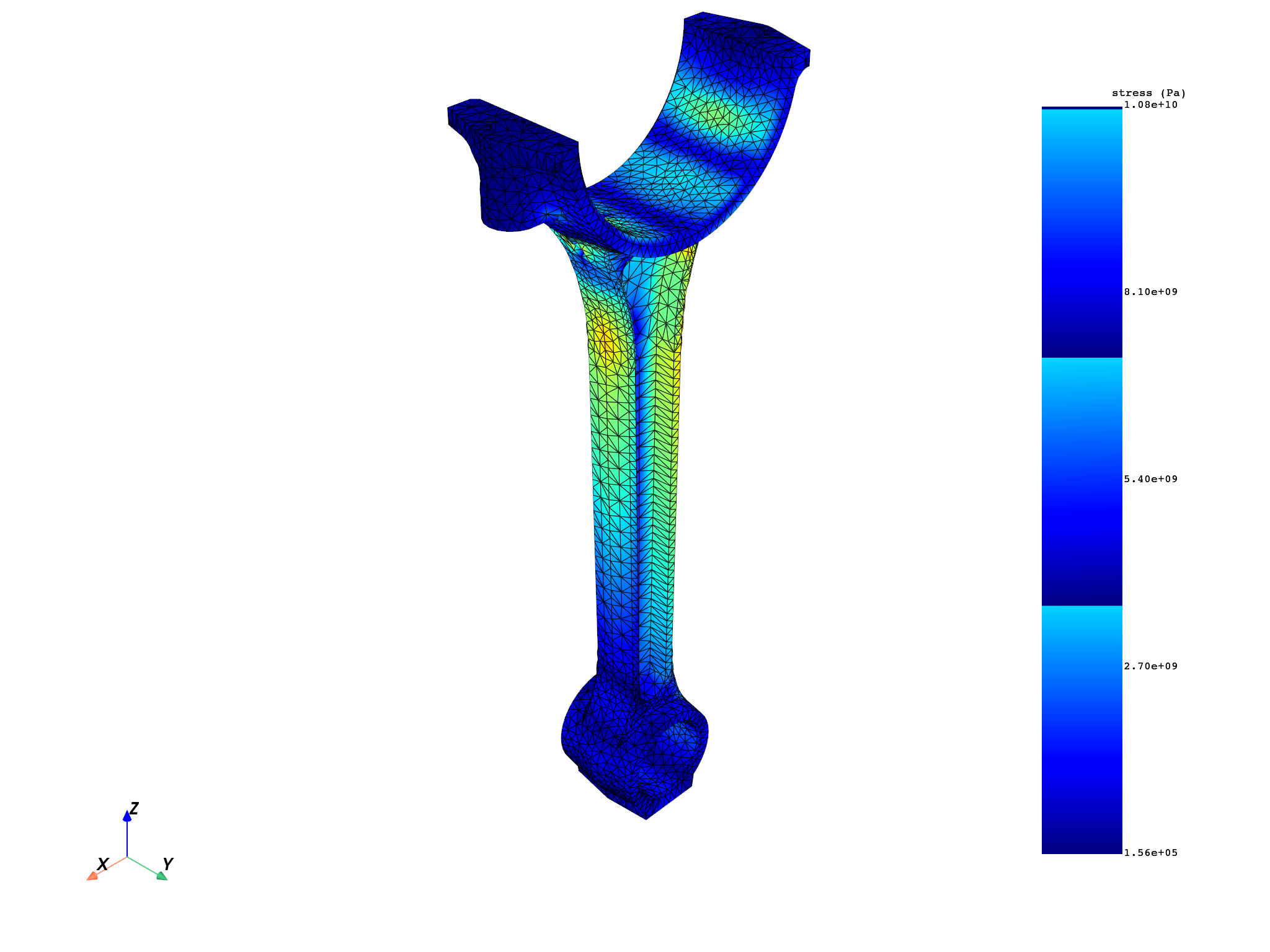 01 average across bodies